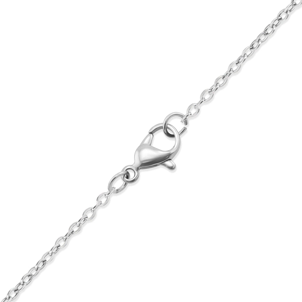 Heart Charm Necklace & Chain