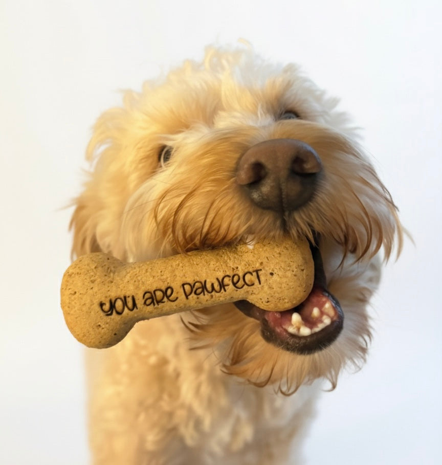 Custom Dog Biscuits